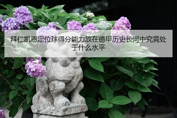 拜仁凯恩定位球得分能力放在德甲历史长河中究竟处于什么水平